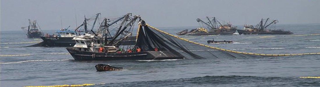 PESQUERIA